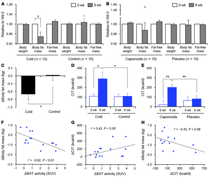 Effects of chronic stimulation by cold and capsinoids.
(A and B) Body co...