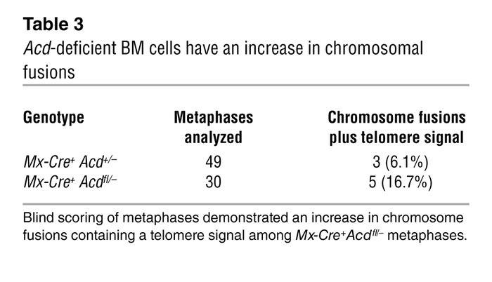 Acd-deficient BM cells have an increase in chromosomal fusions
 