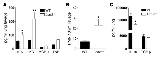 LCN2 dampens the early immune response.
(A–C) WT and Lcn2–/– mice were i...