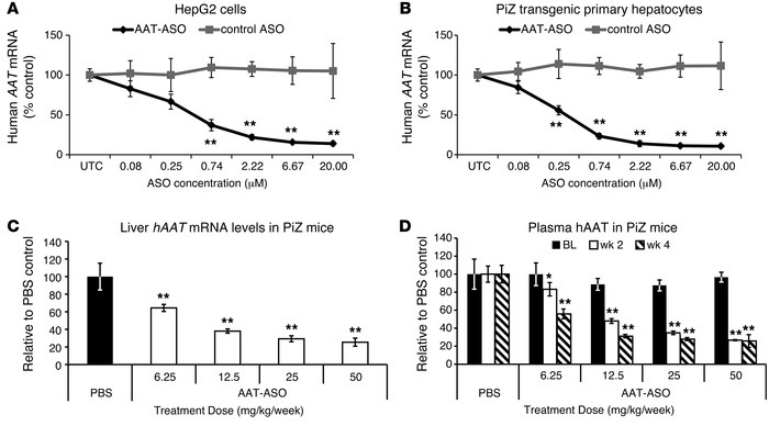 Characterization of an ASO that effectively reduces AAT levels in cells....