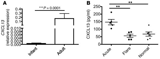 Adult human liver shows greater CXCL13 expression than infant liver, and...