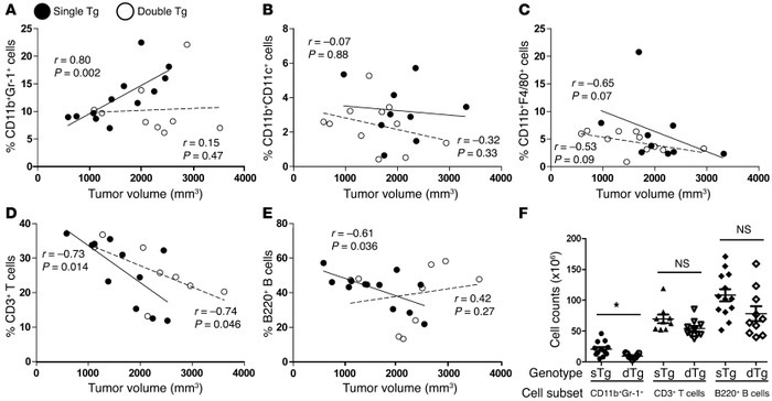 IRF-8 selectively modulates CD11b+Gr-1+ MDSC frequency under autochthono...