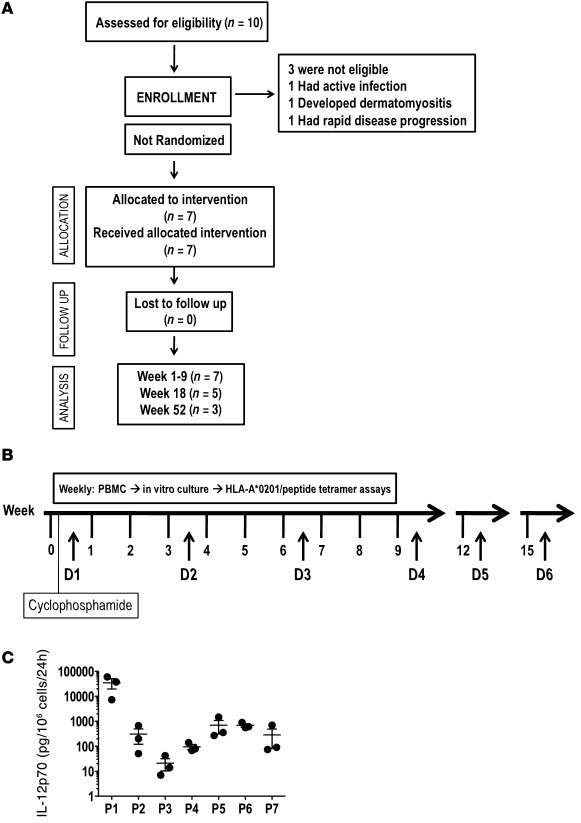 Clinical trial scheme and ex vivo IL-12p70 production by CD40L/IFN-γ–act...