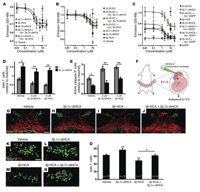 Competition between cholestenoic acid effects, and 3β,7α-diHCA promotes ...