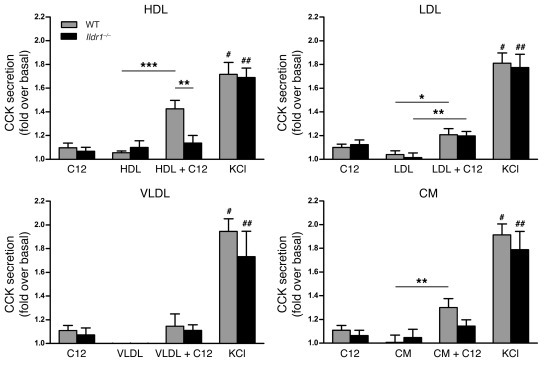Effects of fatty acids and lipoproteins on CCK secretion from dispersed ...