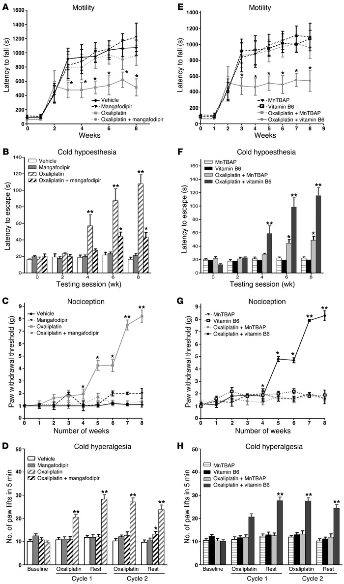 In vivo study of oxaliplatin-induced neurotoxicity.
Experimental mice re...