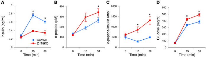 c-peptide/insulin ratio in ZnT8KO and control mice.
(A) Insulin concentr...