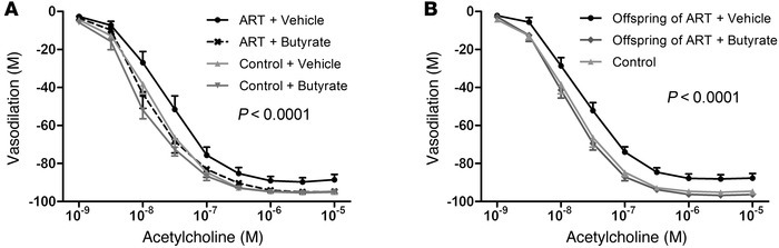 Butyrate administration to ART mice normalizes vascular function and pre...