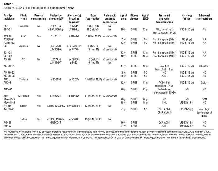 Recessive ADCK4 mutations detected in individuals with SRNS
 