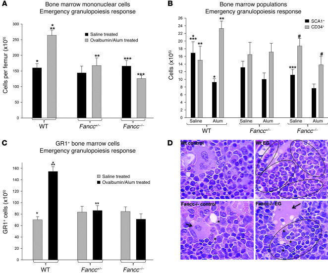 Alum injection does not expand myeloid progenitors or differentiating gr...