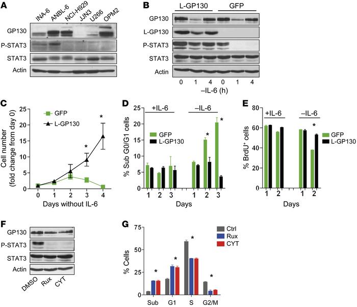 Constitutive GP130/JAK/STAT3 activation by means of L-GP130 overexpressi...