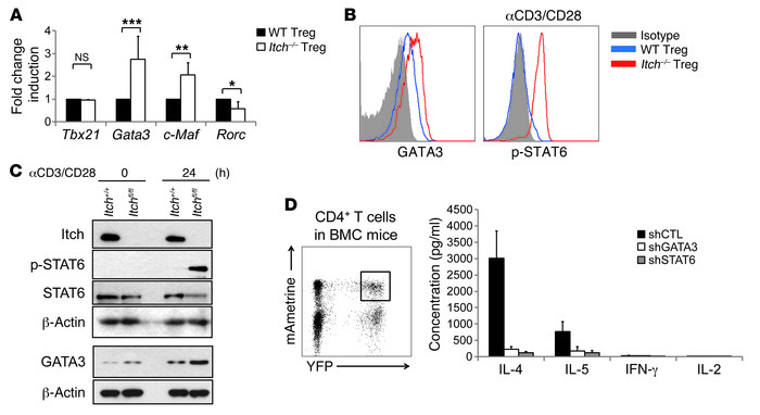 Inhibition of Th2 transcription factors rescued aberrant cytokine produc...