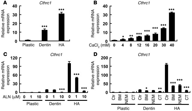 Regulation of Cthrc1 gene expression.
 
(A) Cthrc1 mRNA expression was s...