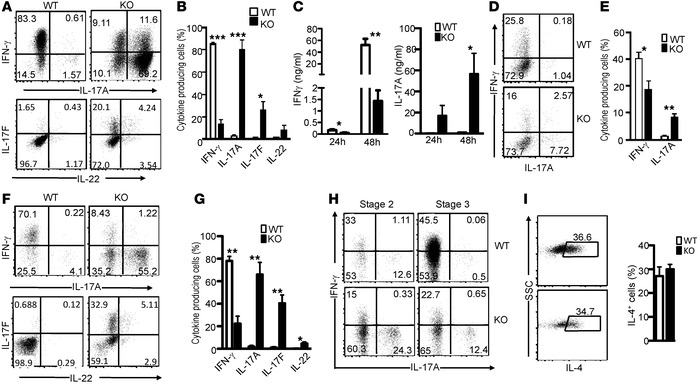 Reciprocal control of iNKT-1 and iNKT-17 by TSC1.
(A and B) Increased IL...