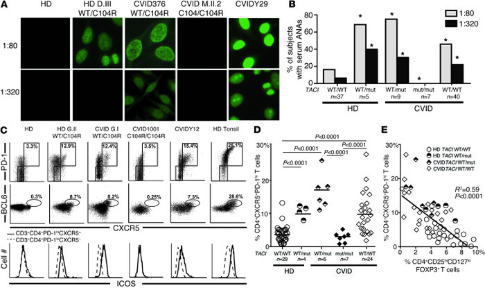 Heterozygous TACI mutations correlate with secreted ANAs and circulating...