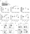 HSC-specific deletion of p110α has minimal effects on hematopoiesis.