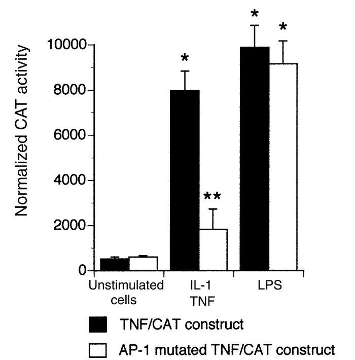 IL-1 and TNF induce TNF gene expression via the TRE site in the TNF prom...