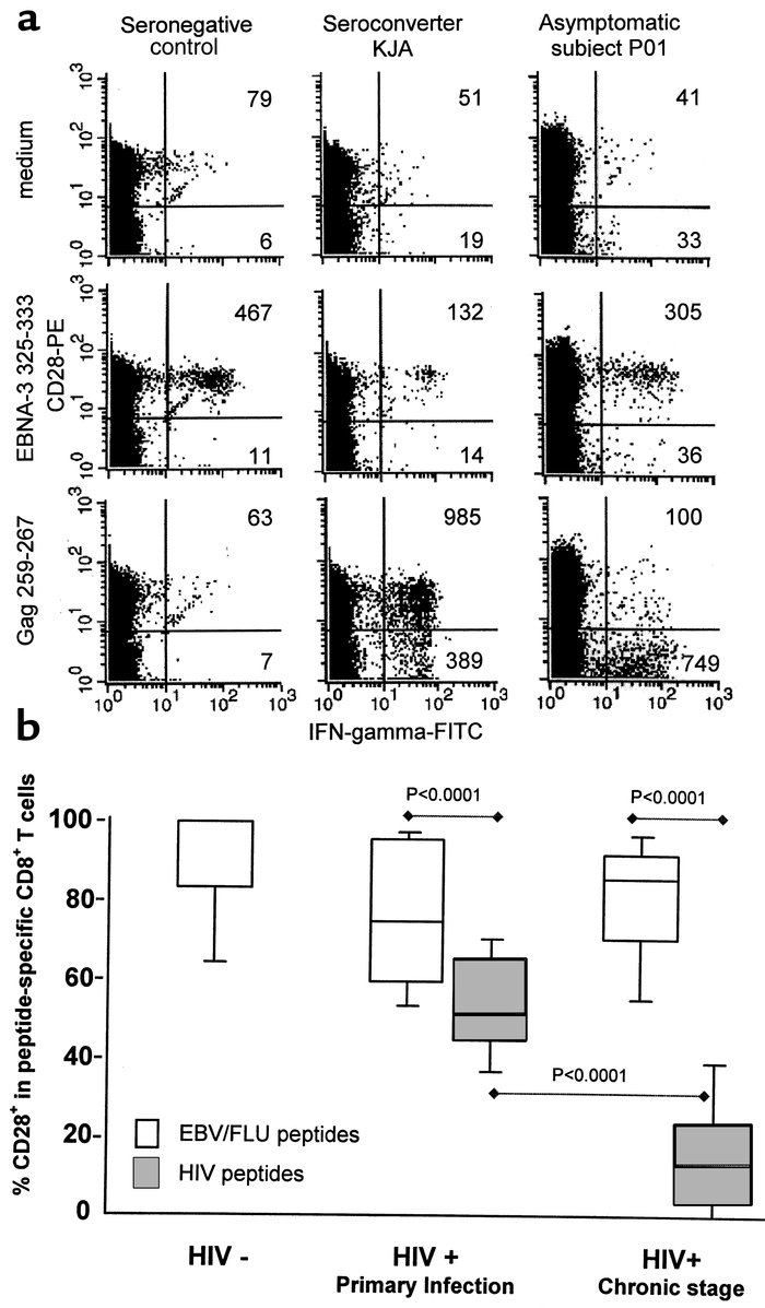 Comparison of the proportion of CD8+CD28+ T cells specific for HIV or ot...