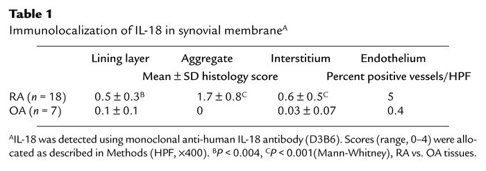 Immunolocalization of IL-18 in synovial membraneA