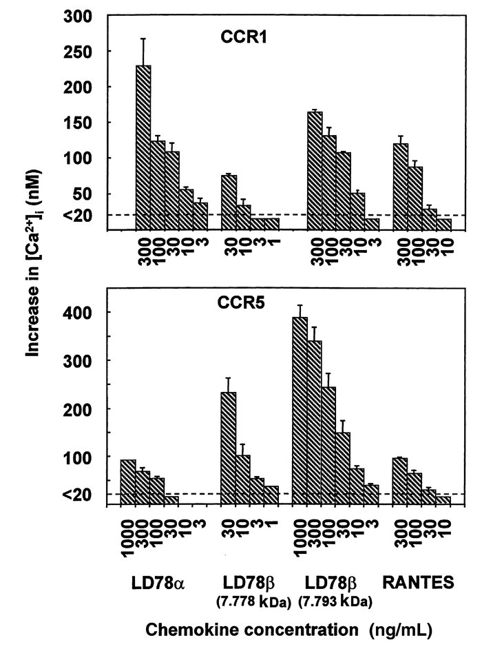 Diverging signaling capacities of LD78α, LD78β, and RANTES through CCR1 ...