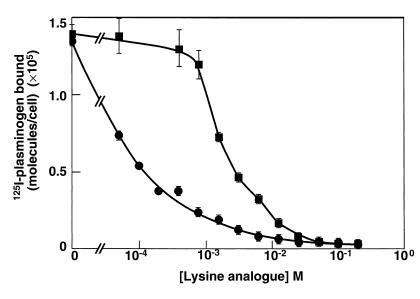 Effect of lysine analogues on plasminogen binding to PC12 cells. PC12 ce...