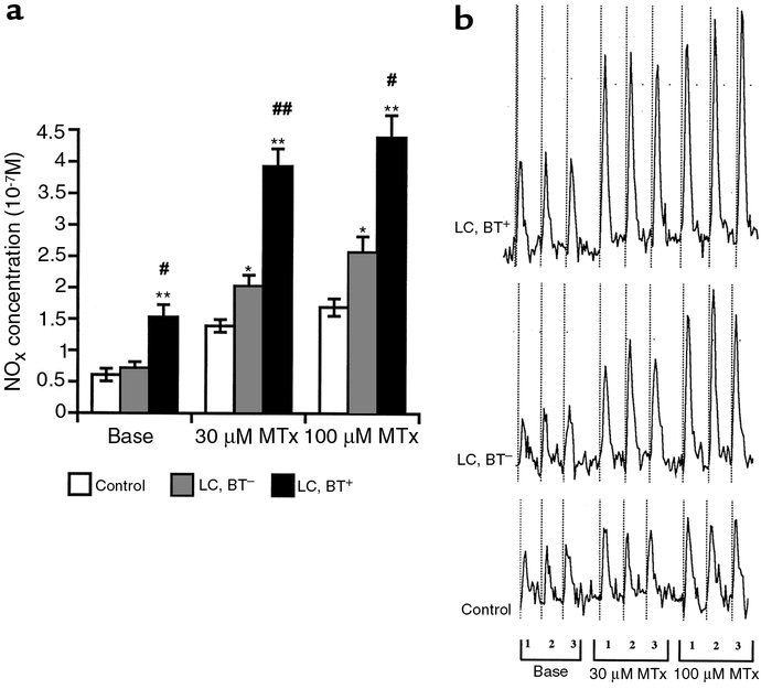 (a) Absolute perfusate NOx concentrations under basal conditions and dur...