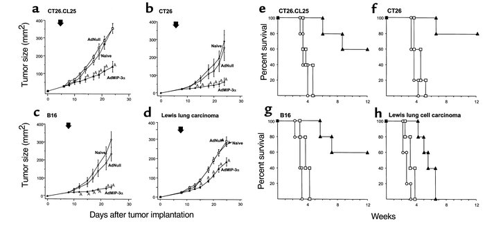 Effects of AdMIP-3α administration on progression of preexisting subcuta...