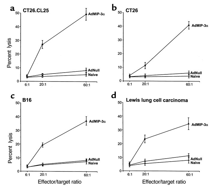 Cytotoxic T cells directed against specific tumors after intratumoral ad...