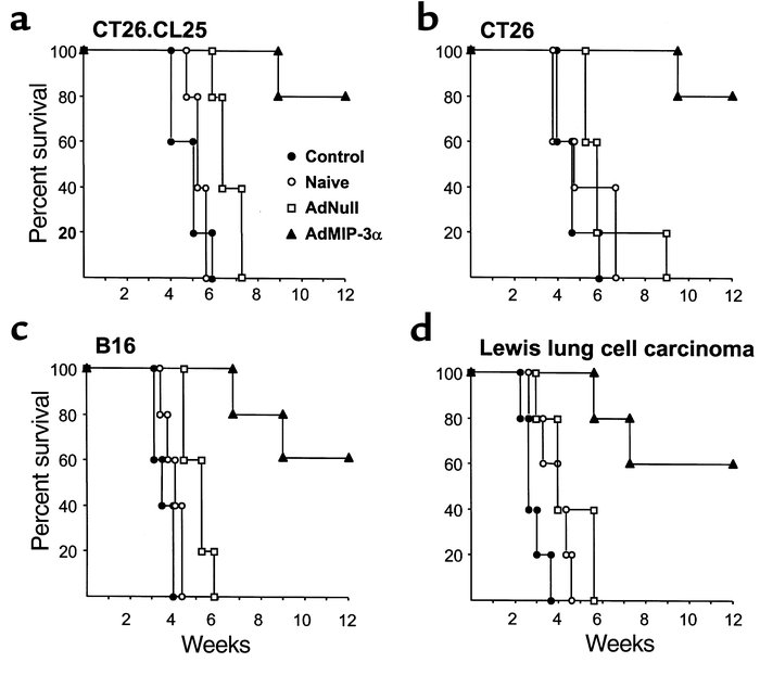 Ability of adoptive transfer of splenocytes from syngeneic mice treated ...