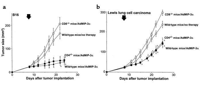 T-cell dependency on effects of AdMIP-3α administration on progression o...