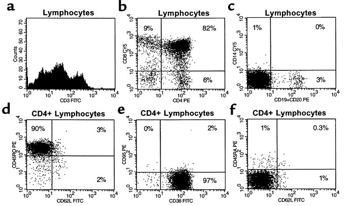 Phenotypically immature thymocytes are present in adult thymus tissues m...