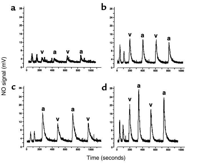 Chemiluminescent detection of NO released from hemoglobin reacted in I3–...