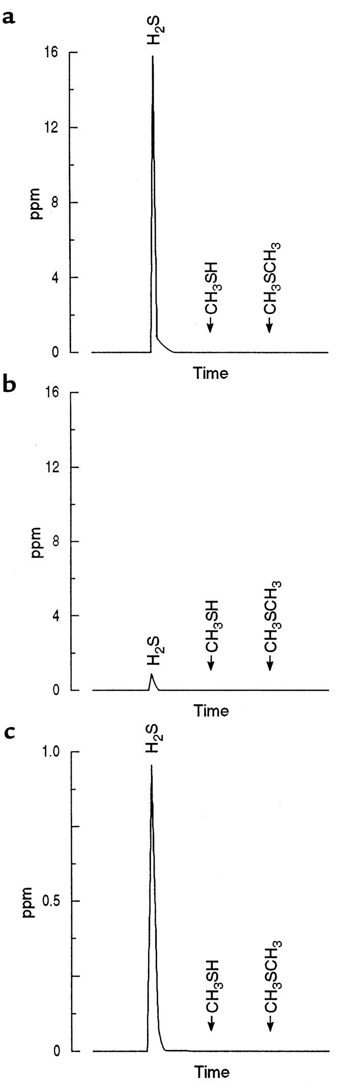 Gas-chromatographic tracings show the concentrations of sulfur-containin...