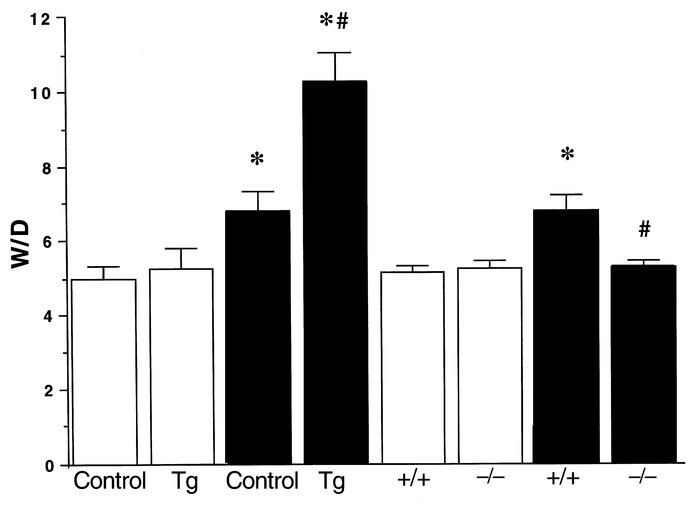 Roles of the PAFR gene in acid-induced lung edema. The lung W/D 2 hours ...