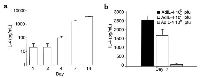 Adenoviral vector–mediated IL-4 expression in the mouse knee joint. (a) ...