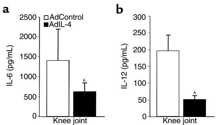 Local IL-4 overexpression in the knee joint of collagen type II–immunize...