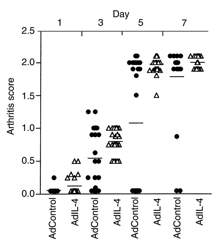 Kinetic study of the course of collagen arthritis in the knee joint afte...