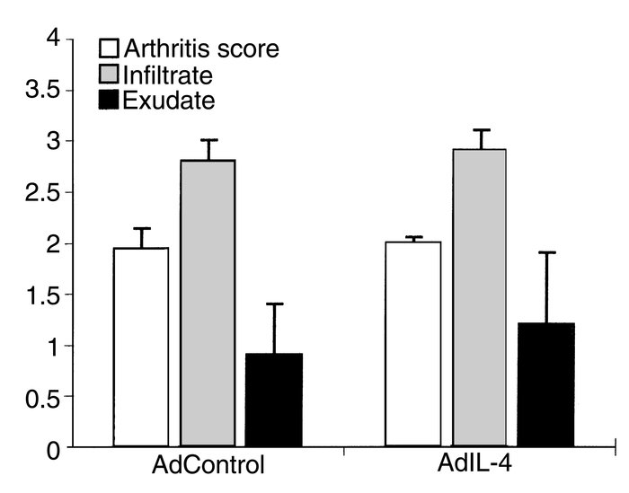 Analysis of the inflammatory aspects of local IL-4 overexpression in the...