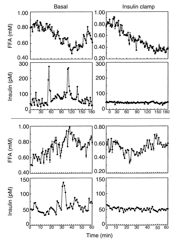 Effect of insulin oscillation removal on the FFA oscillation. The top ha...