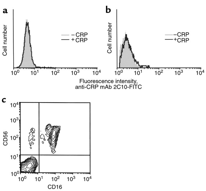Binding of CRP to FcγRIIIa on NK cells is not detectable. NK cells expre...