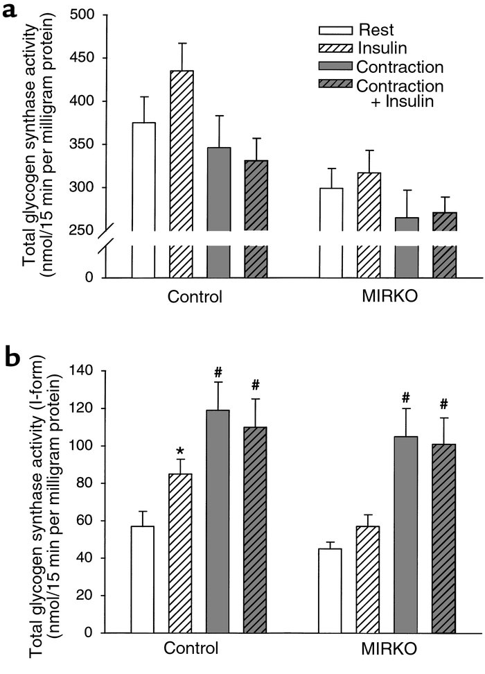 Glycogen synthase activity. Glycogen synthase activity was measured in g...