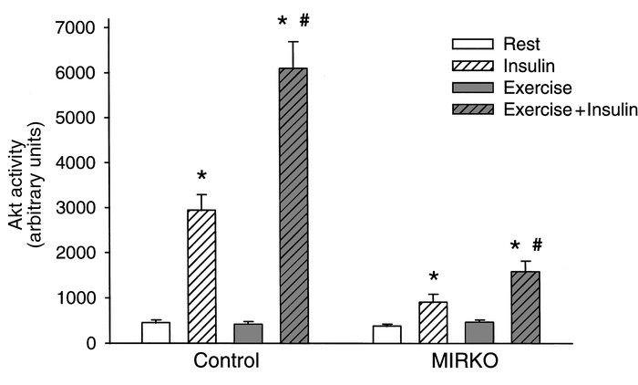 Akt activity. Data are means ± SEM. n = 6–8 per group. *P &lt; 0.006 com...