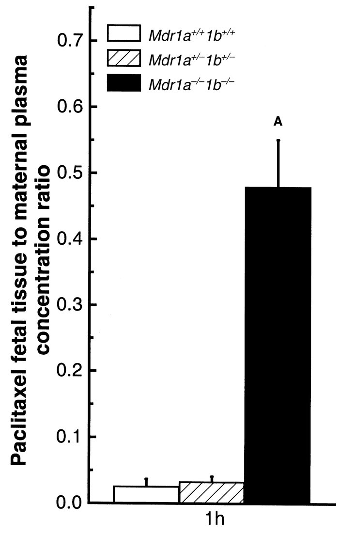 Ratio of paclitaxel fetal concentration to maternal plasma concentration...