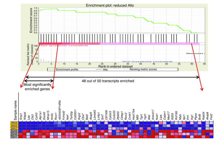 GSEA.
To identify the most predominant genes that uniquely respond to al...