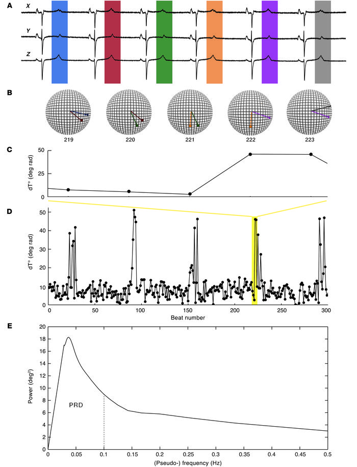 Assessment of PRD.
(A) Illustration of the weight-averaged vector of rep...