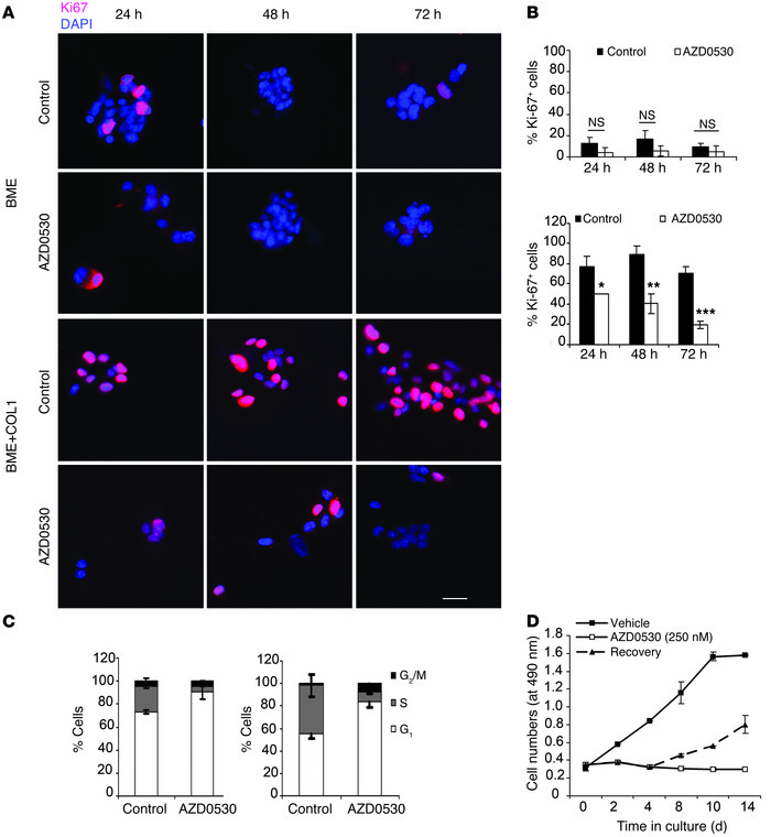 Effect of AZD0530 on proliferation and cell cycle profile of D2.0R cells...