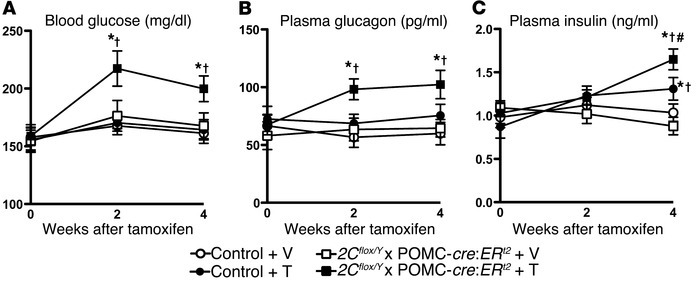 Inducible deletion of serotonin 2C receptors (Htr2c) in POMC neurons of ...