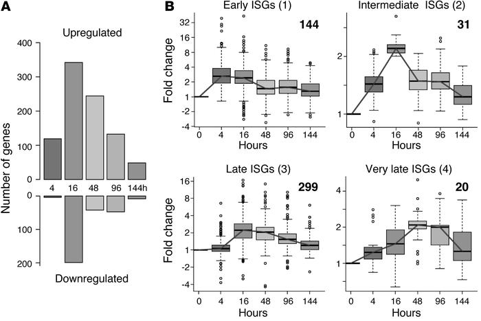 pegIFN-α2b–induced genes fall into four robust classes with distinct tem...