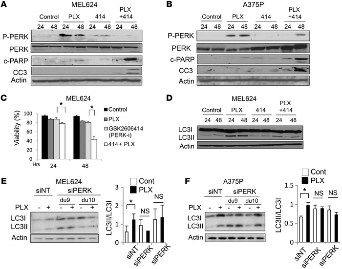 Targeting the BRAFi-induced ER stress response blocks autophagy and enha...