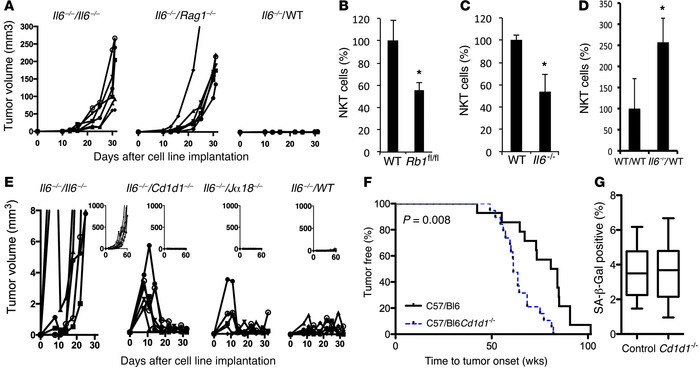 
Cd1d1–/– mice are predisposed to the development of 45Ca-induced osteos...